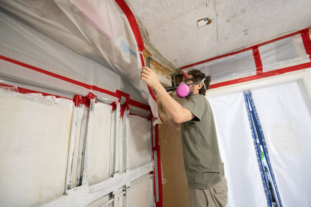 Best Residential Mold Inspection & Testing  in Centereach, NY