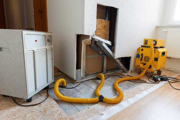 Best Dehumidification Services  in Centereach, NY